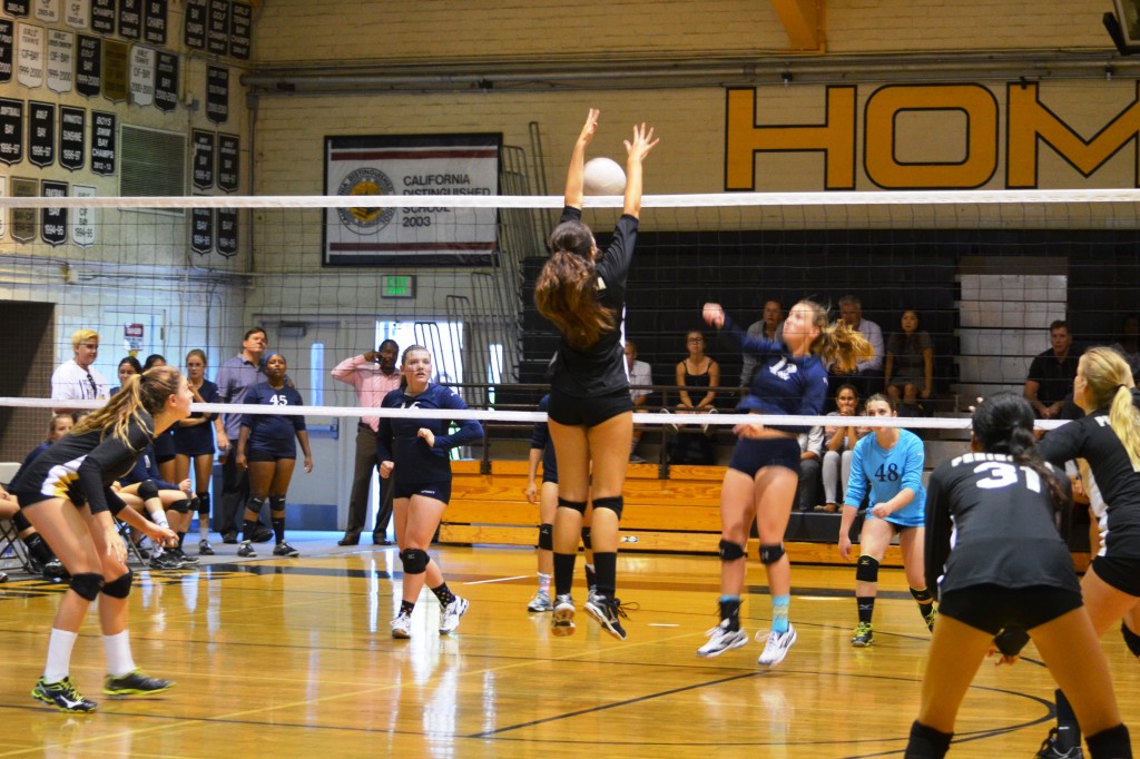 Palos Verdes Peninsula Athletic Booster Club » Girls’ Volleyball